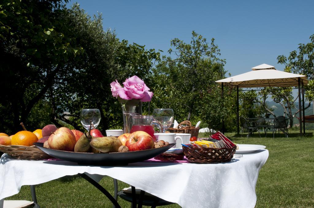 Grazzano Badoglio Cascina Rosa B&B מראה חיצוני תמונה
